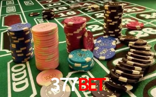 Interface Premium 377Bet